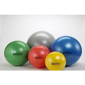 Thera-Band® Pro Series SCP Exercise Ball
