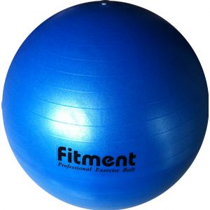professional exercise ball