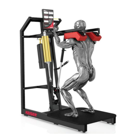 Keiser AIR 300 蹲式小腿训练机